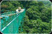 Puentes colgantes en Monteverde, Costa Rica