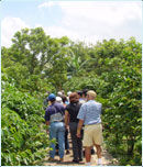 Tour a las plantaciones de café, guía, historia y degustación
